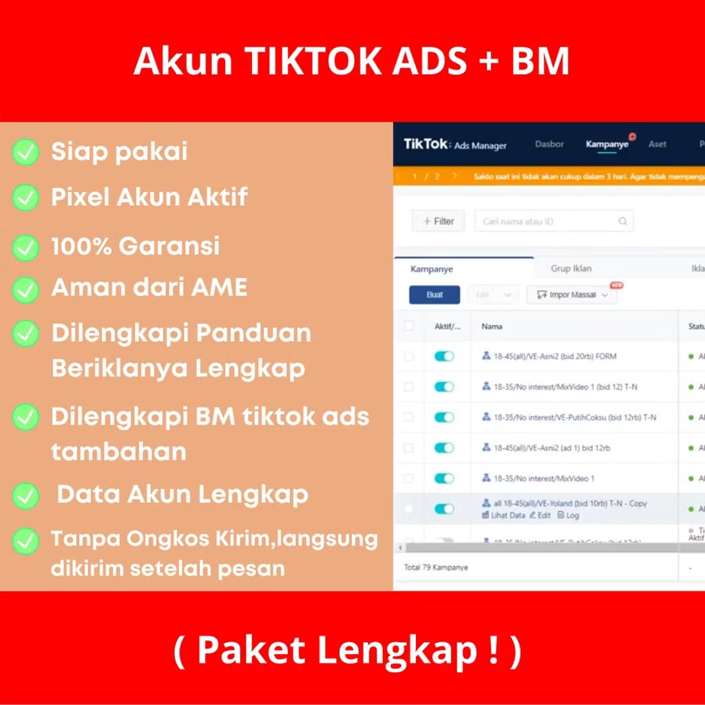 Akun Tiktok Ads + 2 BM